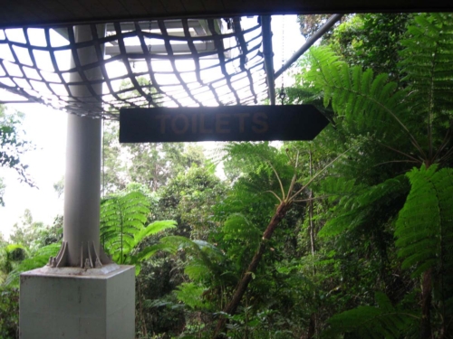 skyrail_rainforest_cableway_images0516