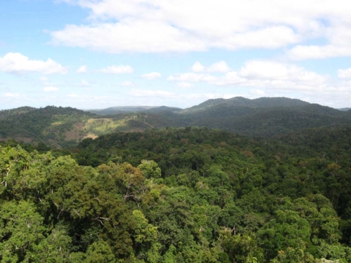 skyrail_rainforest_cableway_images0527